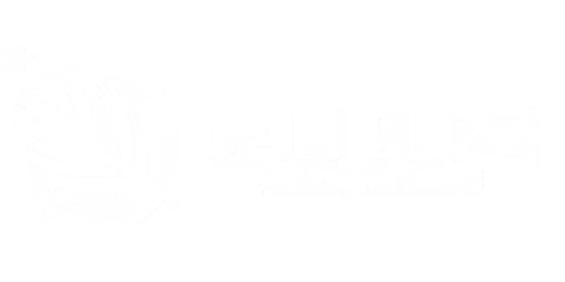 baliblizz logo
